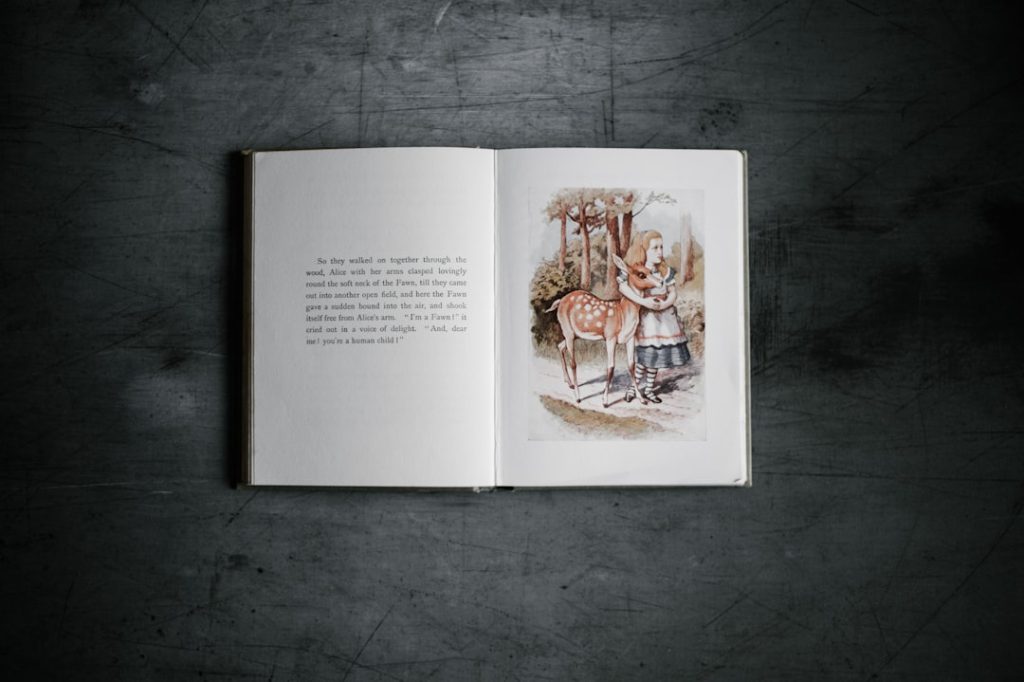 Photo Book illustration