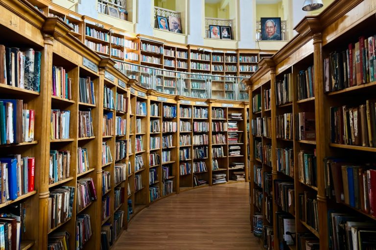 Photo Library shelves